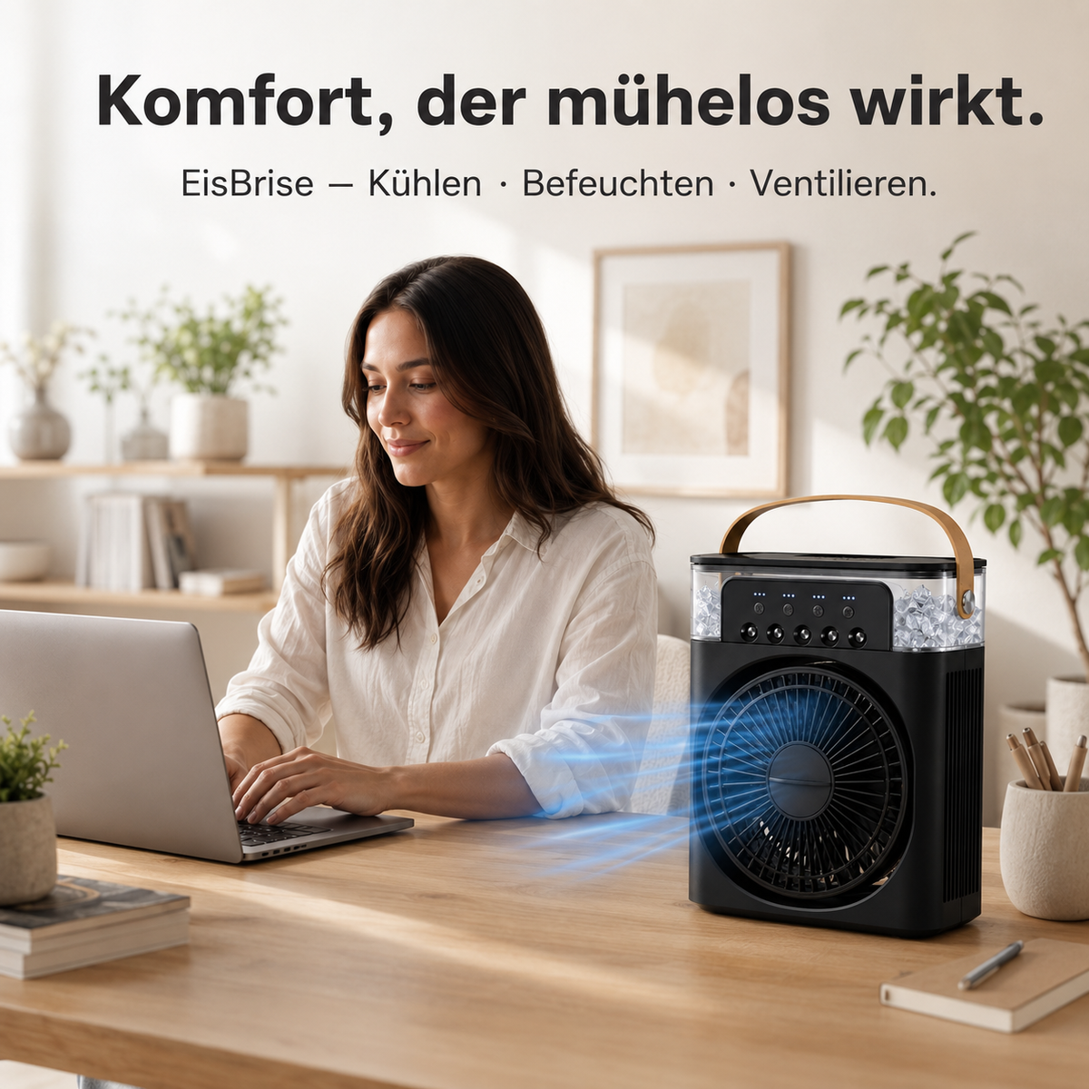 EisBrise | Mini Luftkühler